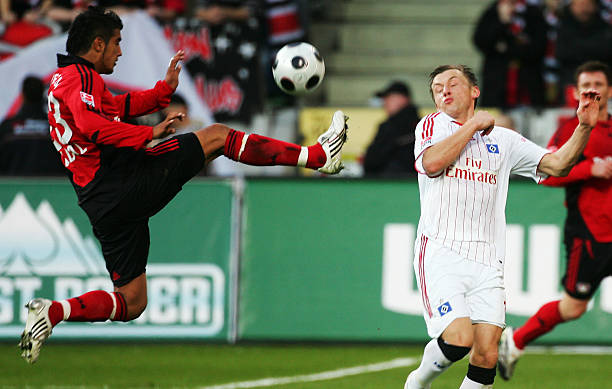 森林狼等都 森林狼等都