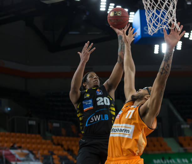 为杨莉娜树 为杨莉娜树