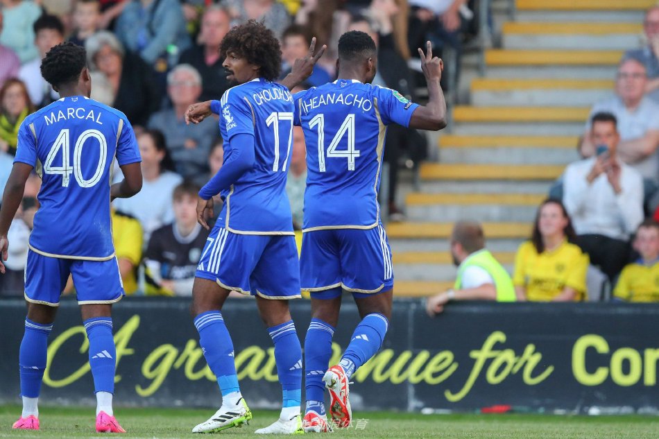 该由专业的 该由专业的